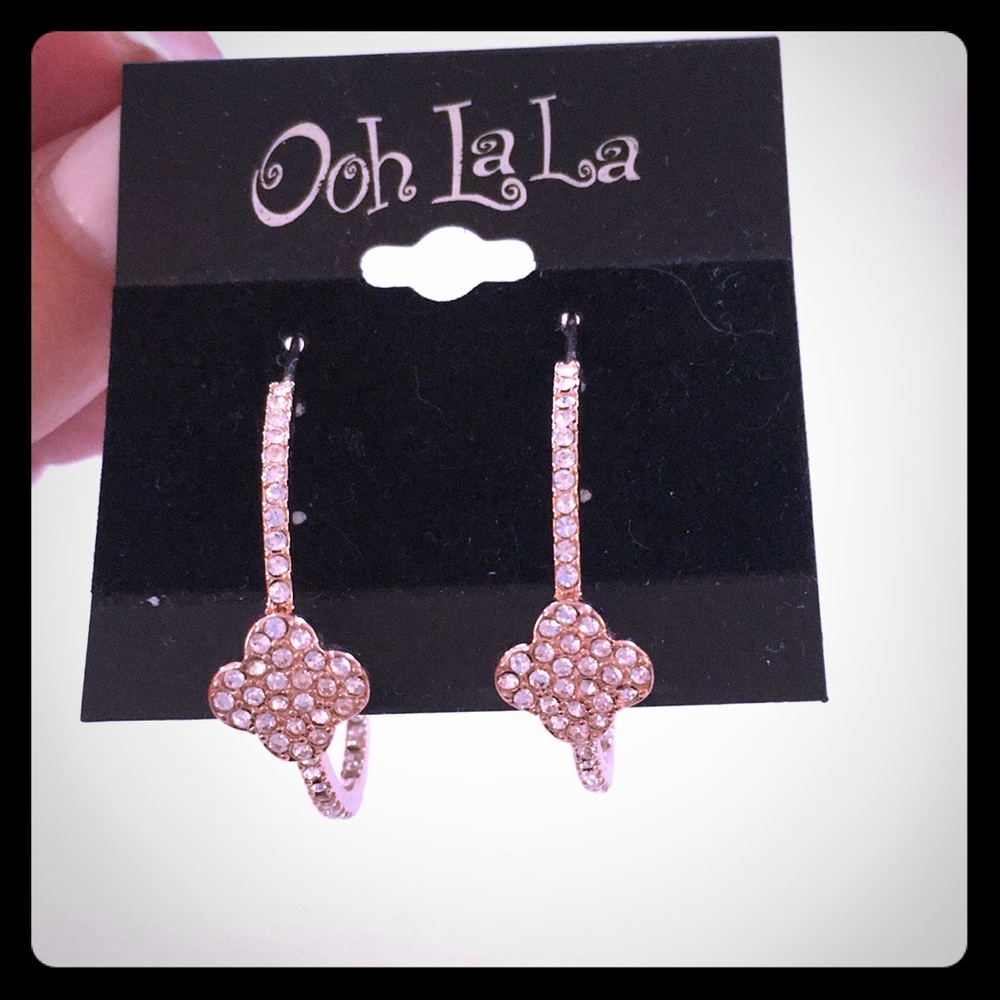 Rose Gold Color Hoop Earrings